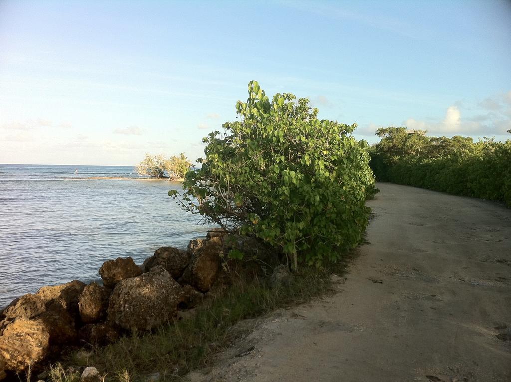 Caraibe Creol' Keys Appartement Port-Louis Kamer foto